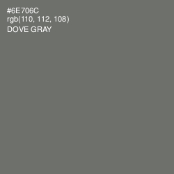 #6E706C - Dove Gray Color Image